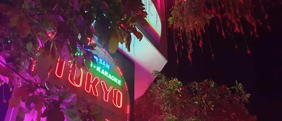 나뭇잎 사이로 보이는 붉은색 도쿄 호텔 가라오케 네온 간판